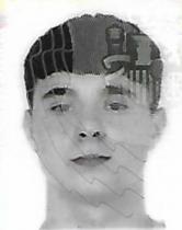 NICOLAS